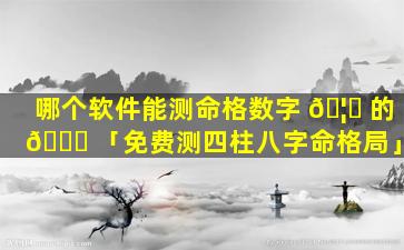 哪个软件能测命格数字 🦆 的 🐕 「免费测四柱八字命格局」